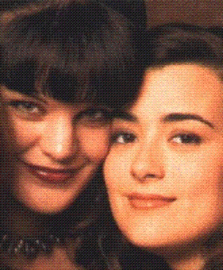 Pauley and Cote De Pablo